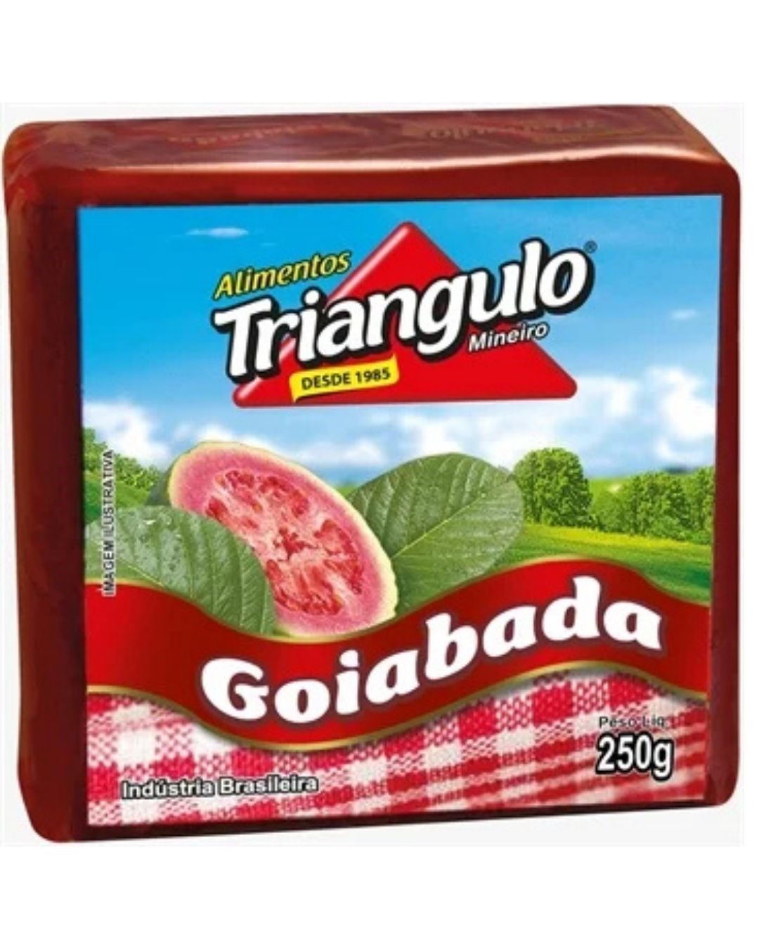 GOIABADA 250G TRIANGULO