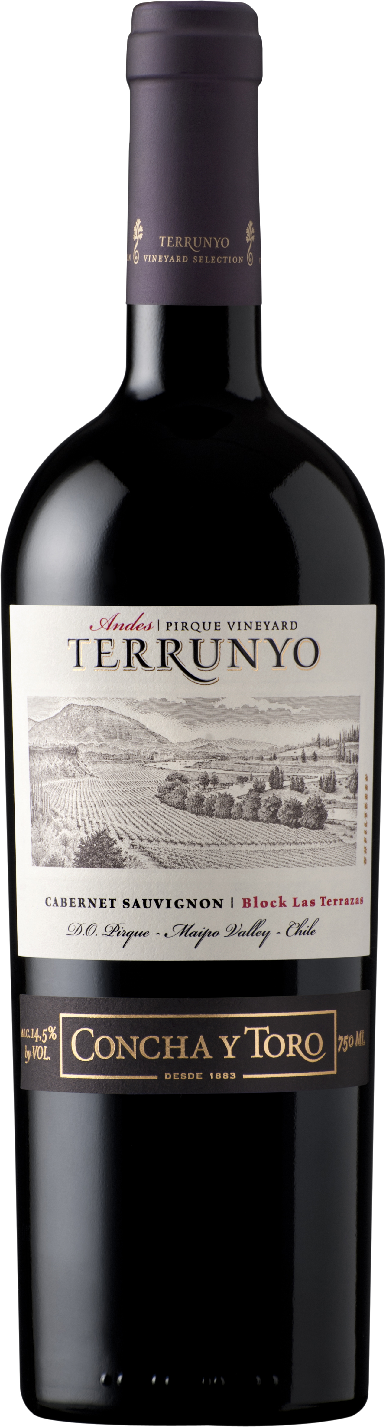 V TERRUNYO CABERNET SUAVIGNON 750 ML
